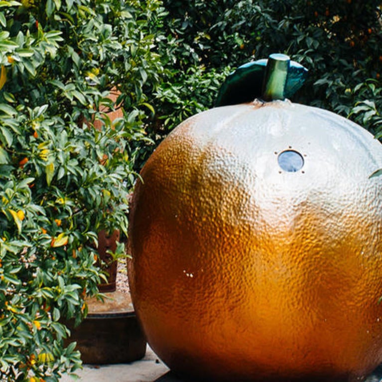 statue-of-orange-chass.jpg 
